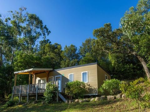 Camping Sole di Sari - Camping Córcega del sur - Image N°4