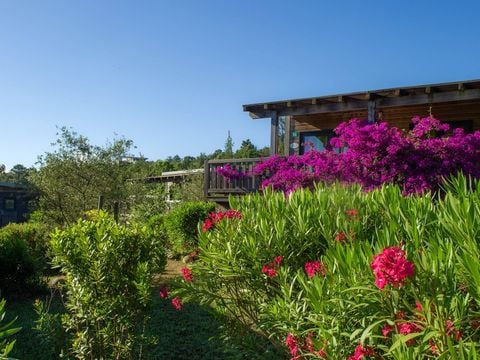 Camping Sole di Sari - Camping Córcega del sur - Image N°5