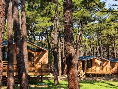 BUNGALOW 6 personnes - CABANE 4/6 PERSONNES