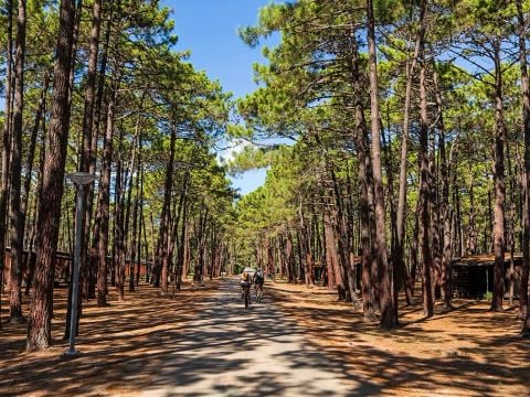 BUNGALOW 4 personnes - PINEDE 2/4 PERSONNES