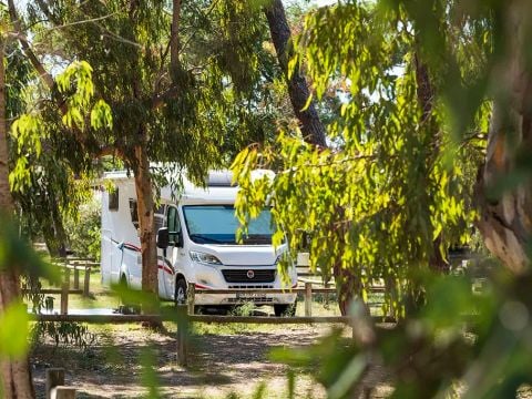 Camping Golfo Di Sogno - Camping Corse du Sud - Image N°43