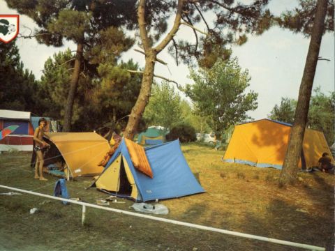 Camping Golfo Di Sogno - Camping Corse du sud - Image N°41