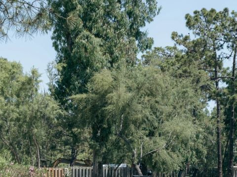 Camping Golfo Di Sogno - Camping Corse du Sud - Image N°51
