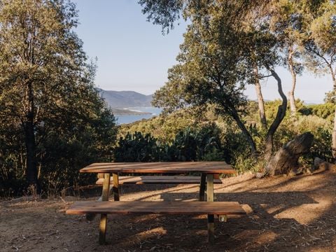 Camping Vigna Maggiore - Camping Zuid-corsica - Afbeelding N°15