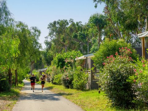 Camping Arinella Bianca - Camping Corse du Nord - Image N°20