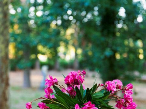 TENTE 4 personnes - Tente Safari idéale pour couple et jeunes enfants