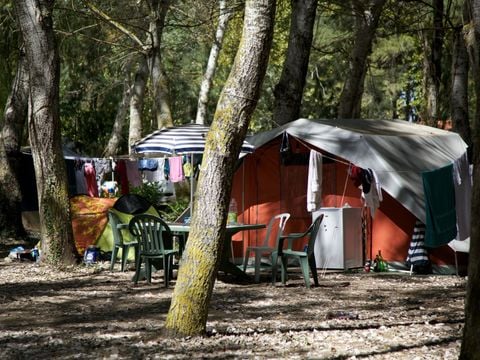 Emplacement - Forfait