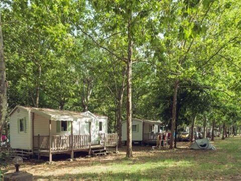 Mobilhome 4 personnes - Pour - 2 chambres