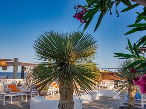 Camping Merendella - Camping Corsica Settentrionale - Image N°40