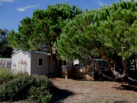 Mobilhome 4 personnes - Mobilhome 4 personnes - Mobil Rivage 4p 2Ch PMR