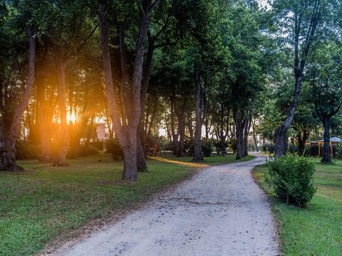 Camping Merendella - Camping Corsica Settentrionale - Image N°44