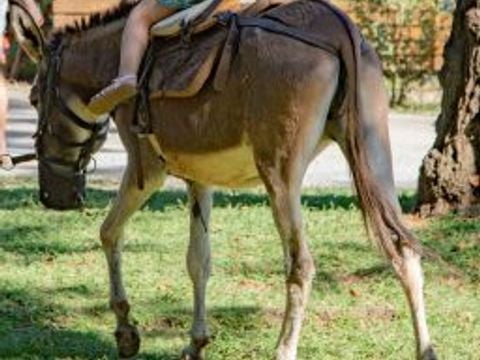 Camping Merendella - Camping Corsica Settentrionale - Image N°56