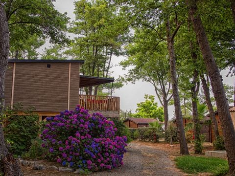 Camping Merendella - Camping Corsica Settentrionale - Image N°60