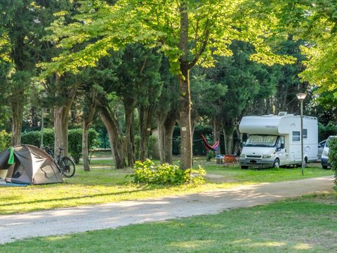 Camping Les Avignon - La Laune - Camping Gard - Image N°13