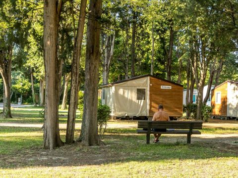 Camping Les Avignon - La Laune - Camping Gard - Image N°14