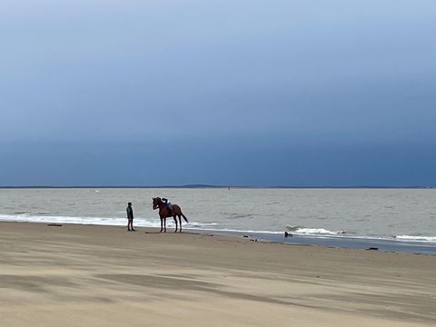 MOBILHOME 6 personnes - Mobil-home BA645 - 37m² - 3 chambres 6 pers