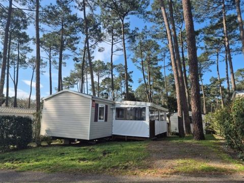 MOBILHOME 8 personnes - Mobil-home 3 chambres - Contis SAMBA MH 467