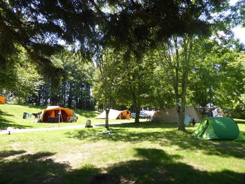 Camping Le Plo - Camping Tarn - Image N°6