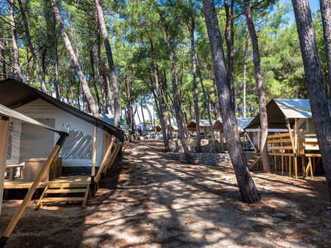 Krk Premium Camping Resort  - Camping Istrie - Image N°46