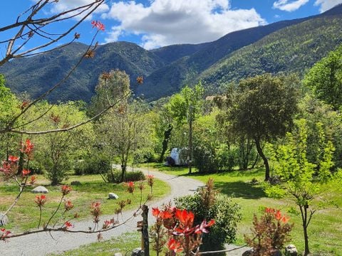 Camping du Riuferrer - Camping Pyrénées-Orientales
