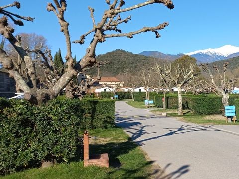 Camping Paradis - Vallespir  - Camping Pyrénées-Orientales - Image N°76