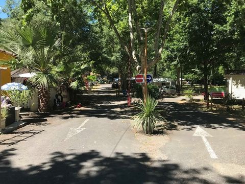 Camping De Nogarede - Camping Pyrenees-Orientales - Image N°4