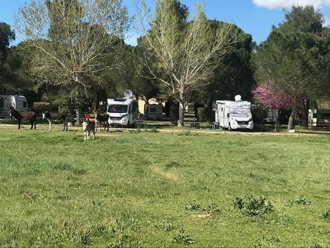 Camping Les Casteillets - Camping Pyrenees-Orientales - Image N°46
