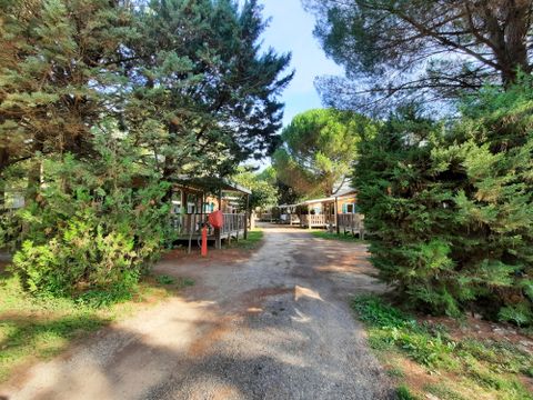 Camping Les Casteillets - Camping Pyrenees-Orientales - Image N°34