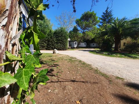 Camping Les Casteillets - Camping Pyrenees-Orientales - Image N°41