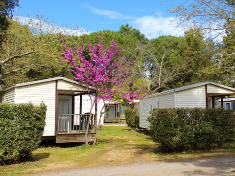 Camping Les Casteillets - Camping Pyrenees-Orientales - Image N°32