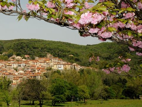 Camping Amélia - Camping Pyrénées-Orientales - Image N°15