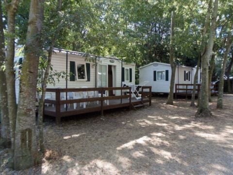 MOBILHOME 6 personnes - CLASSIQUE 2CH 4/6 PERS  sans climatisation et sans télévision 