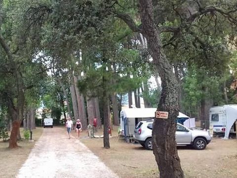 Camping Fagamis L'oasis - Camping Pyrenees-Orientales - Image N°9