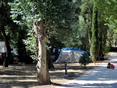 Camping Fagamis L'oasis - Camping Pyrenees-Orientales - Image N°14