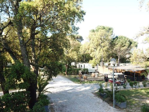 Camping Fagamis L'oasis - Camping Pyrenees-Orientales - Image N°13