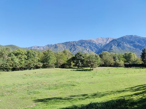 MOBILHOME 4 personnes - Classic