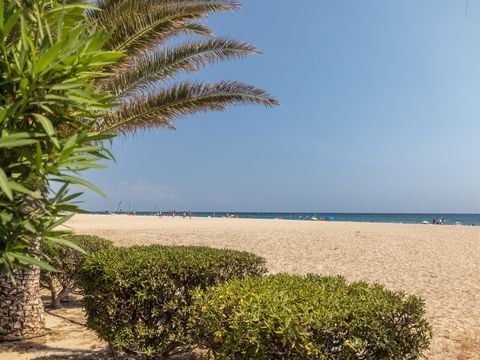 Camping Le Neptune - Camping Pyrénées-Orientales - Image N°21