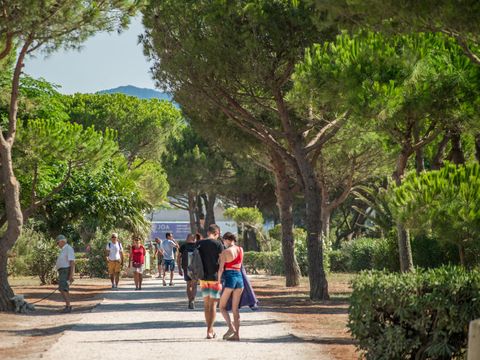 Camping l'Etoile d'Or - Camping Pyrénées-Orientales - Image N°53