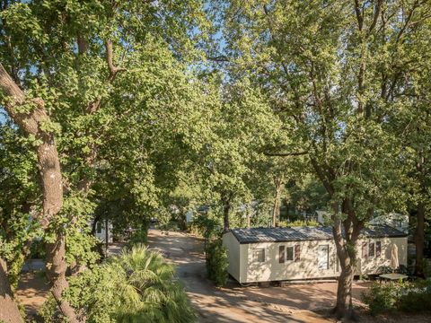 Camping l'Etoile d'Or - Camping Pyrénées-Orientales - Image N°21