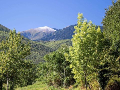 Camping Le Canigou - Camping Pyrenees-Orientales - Image N°28
