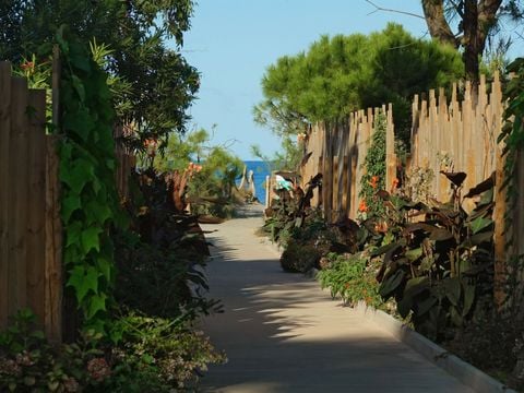 Camping San Damiano - Camping Corse du Nord - Image N°5