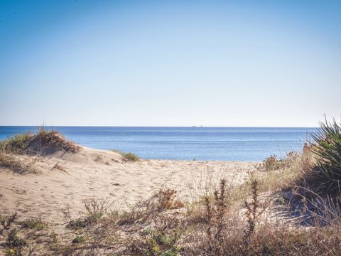 Camping de la Plage - Camping Pyrénées-Orientales - Image N°30