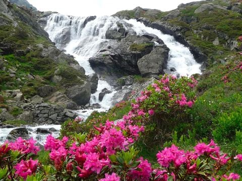 Flower Camping La Bexanelle - Camping Ariège - Image N°28
