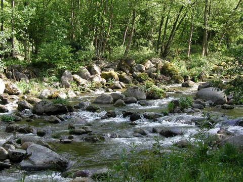 Camping Le Pas De L'ours - Camping Ariège - Image N°11