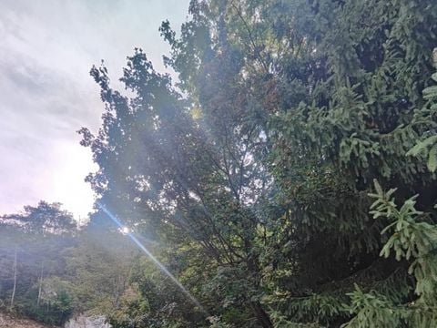 HÉBERGEMENT INSOLITE 2 personnes - Cabane Iris