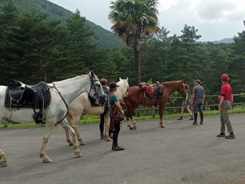 Camping La Cremade - Camping Aude - Image N°5