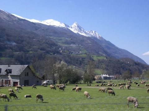 Camping Sites et Paysages - Pyrénévasion  - Camping Hautes-Pyrenees - Image N°36