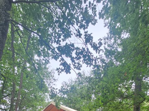 TENTE TOILE ET BOIS 5 personnes - COTTON LODGE NATURE 25m² / 2 chambres - terrasse couverte (sans sanitaires privatifs)