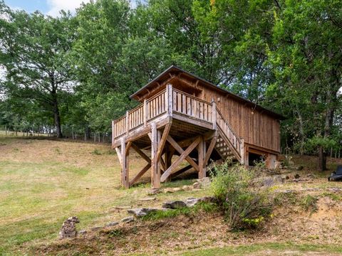 HÉBERGEMENT INSOLITE 5 personnes - CABANE dans les arbres 24m² / 1 chambre - terrasse couverte