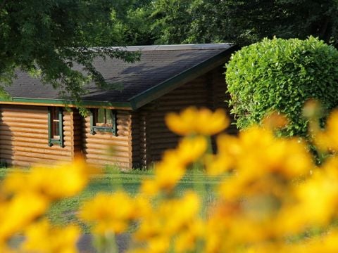 CHALET 4 personnes - chalet des marmottes